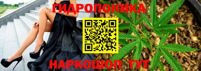 индика Гусь-Хрустальный