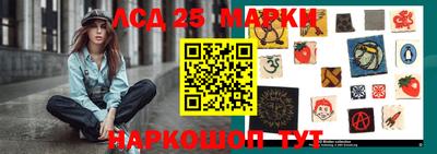 индика Гусь-Хрустальный