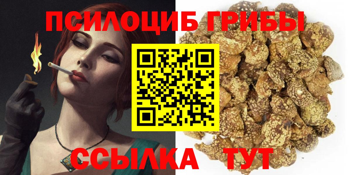 Нарткала  Псилоцибиновые грибы Cubensis  Вход с VPN  Галлюциногенные грибы мицелий 