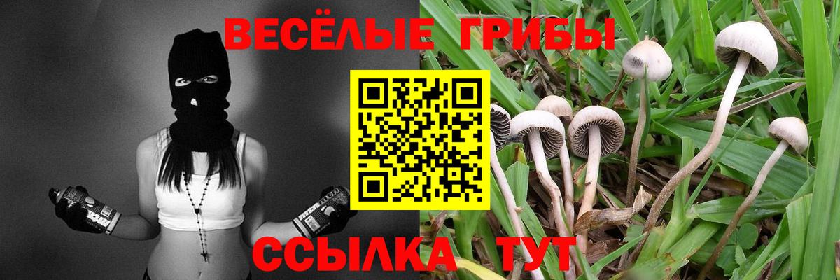 Галлюциногенные грибы прущие грибы Нарткала